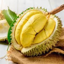 Durian Fruit sitting on a canvas bag