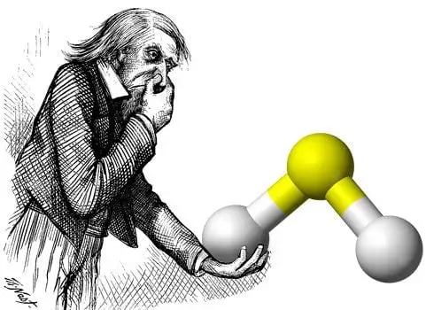 A scientist holding a molecule of hydrogen sulfide while covering his nose from its awful smell